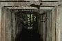 the love tunnel, aka the tunnel of fear and bats