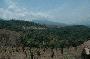 slash and burn farming on hills surrounding Muang Sing