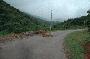 road blocks in Laos