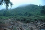 morning view from the village