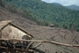 slash and burn farming on hills surrounding Muang Sing