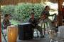 the band