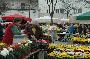 local farmer's market, ljubljana