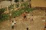 local guys playing volleyball as we felt like prisoners in our hotel room