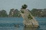 halong bay