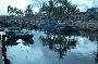 river in hoi an